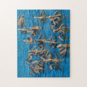 Pelican Bird Florida. Puzzle (Vertikal)