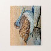 Pelican Bird Florida. Puzzle (Vertikal)