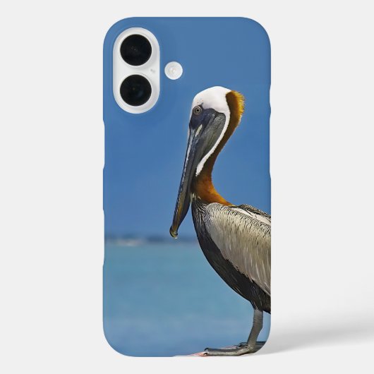 Pelican Bird Watching Fotografie Case-Mate iPhone Hülle (Rückseite)