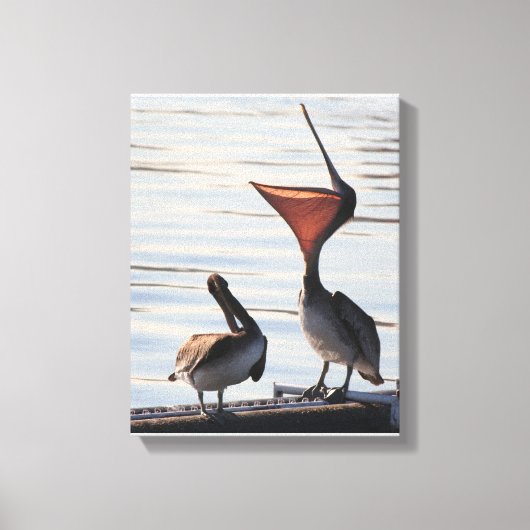 Pelican Birds Wildlife Animals Beach Leinwanddruck (Vorderseite)