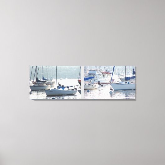 Pelican Birds Wildlife Animals Beach Leinwanddruck (Vorderseite)