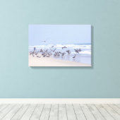 Pelican Birds Wildlife Animals Ocean Leinwanddruck (Insitu (Holzboden))