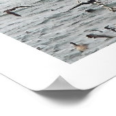 Pelican Birds Wildlife Animals Poster (Ecke)