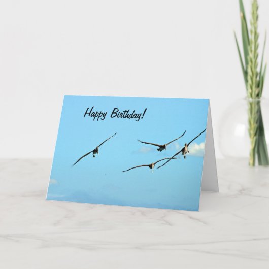 Pelican Birthday 1 Card Karte (Vorderseite)