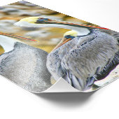 PELICAN BOGO FOTODRUCK (Ecke)
