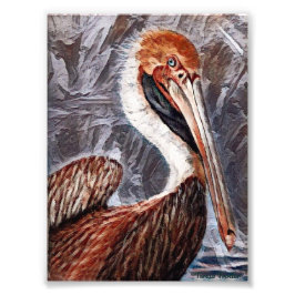 Pelican Brief Fotodruck