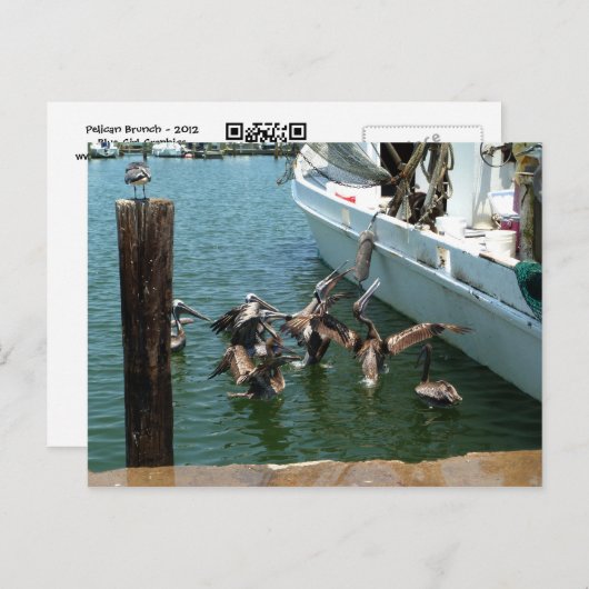 Pelican Brunch Postcard Postkarte (Vorne/Hinten)