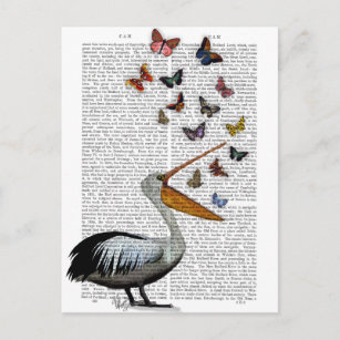 Pelican & Butterfisch Postkarte