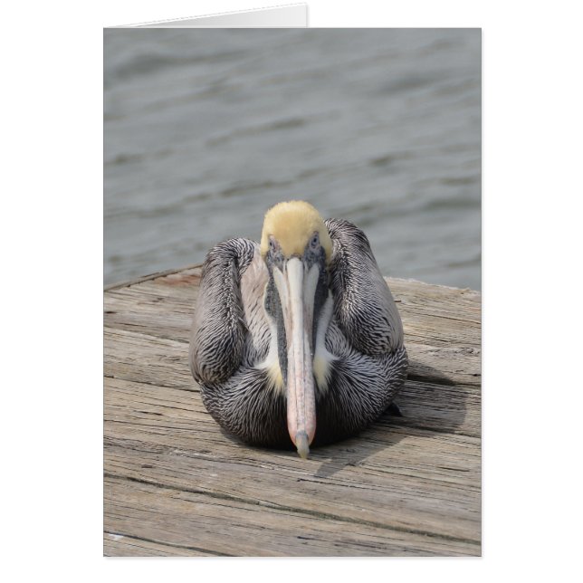 Pelican Card (Vorne)