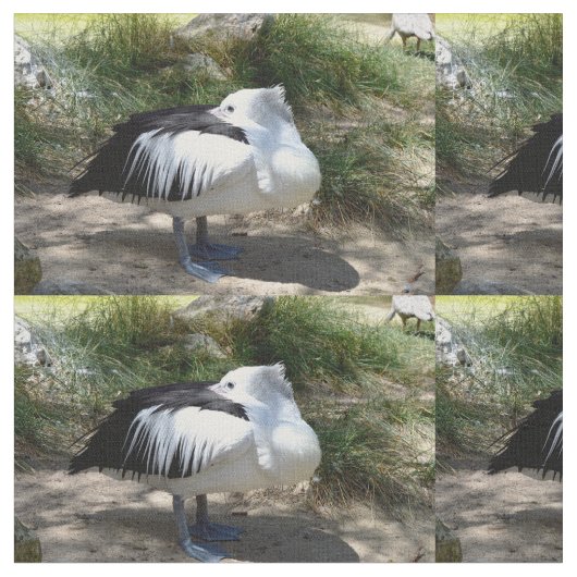 Pelican Cat Nickerchen, Stoff (Nahaufnahme)