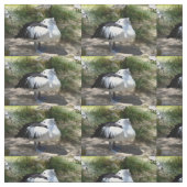 Pelican Cat Nickerchen, Stoff (Muster)