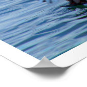 Pelican Catchen Poster (Ecke)