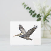 Pelican Clear Postkarte (Stehend Vorderseite)