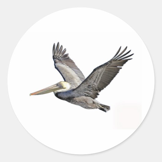 Pelican Clear Runder Aufkleber (Vorderseite)