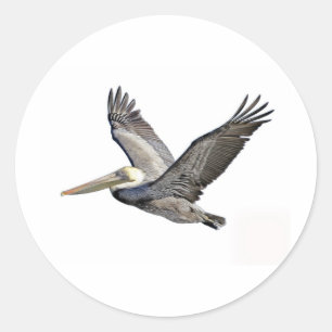 Pelican Clear Runder Aufkleber