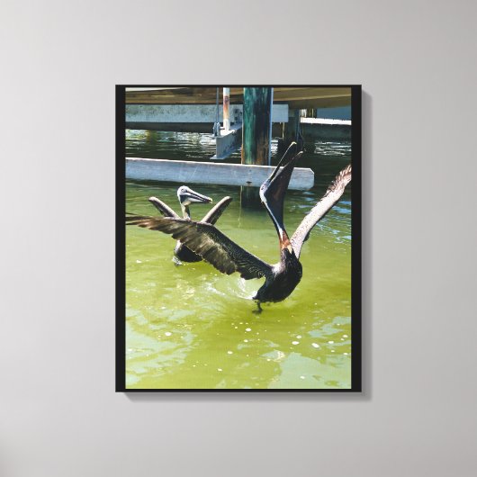 Pelican Dance Leinwanddruck (Vorderseite)