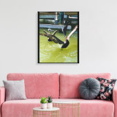 Pelican Dance Leinwanddruck (Insitu (Wohnzimmer))