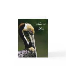 Pelican - Dankeschön Card