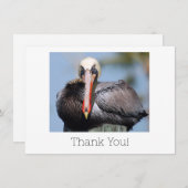 Pelican Dankeschön Karte (Vorne/Hinten)