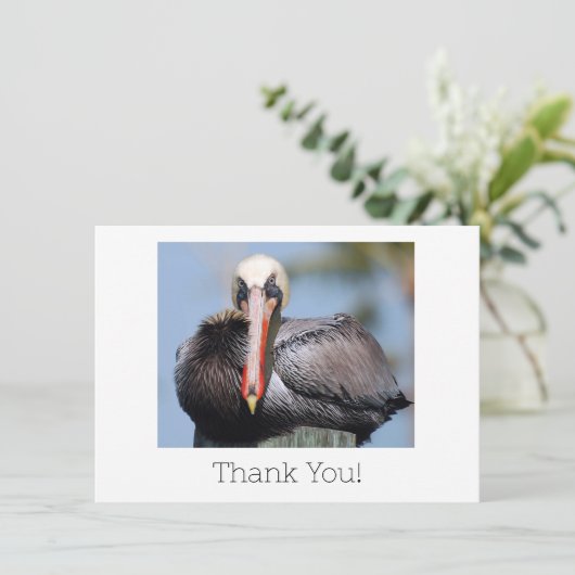 Pelican Dankeschön Karte (Stehend Vorderseite)