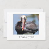 Pelican Dankeschön Karte (Vorderseite)