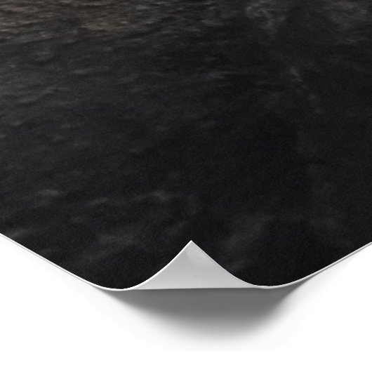 Pelican Discussions - oder war es ein Witz? Poster (Ecke)