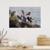 Pelican Discussions - oder war es ein Witz? Poster (Küche)