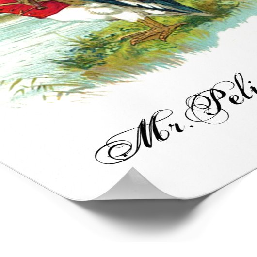 PELICAN FISHING POSTER (Ecke)