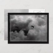 Pelican Flight Postkarte (Vorne/Hinten)