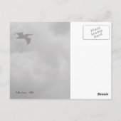 Pelican Flight Postkarte (Rückseite)
