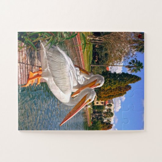 Pelican Florida Puzzle (Horizontal)