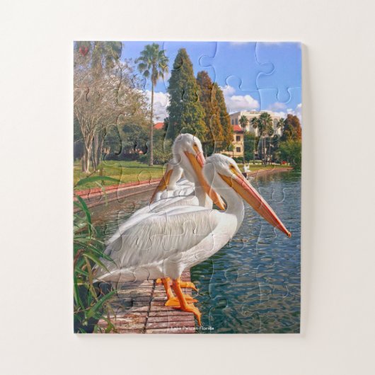Pelican Florida Puzzle (Vertikal)
