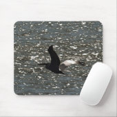 Pelican Flying Over Shimmering Lake Bafa Mousepad (Mit Mouse)