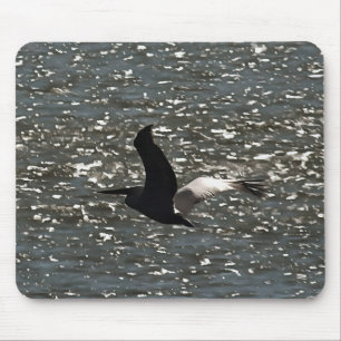 Pelican Flying Over Shimmering Lake Bafa Mousepad