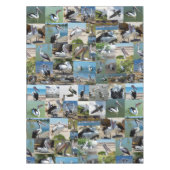 Pelican Foto Collage, Tischdecke (Vorderseite)