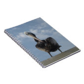 Pelican from Peru Notebook Notizblock (Rechte Seite)