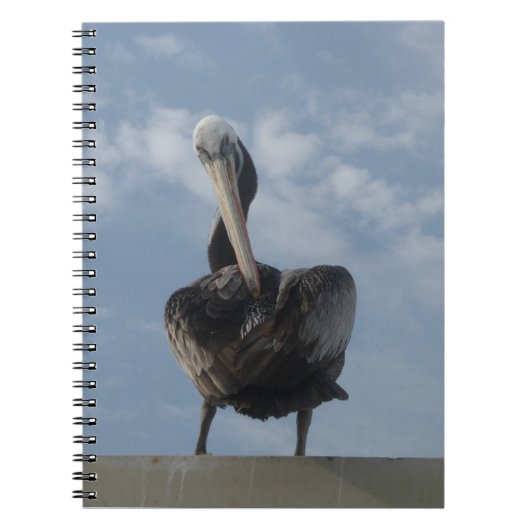 Pelican from Peru Notebook Notizblock (Vorderseite)
