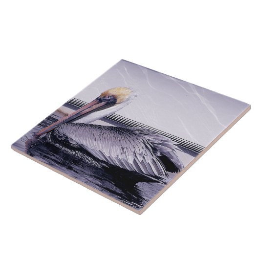 Pelican Gliding Fliese (Seite)