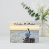 Pelican Greetings Postcard Postkarte (Stehend Vorderseite)