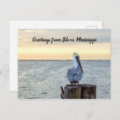 Pelican Greetings Postcard Postkarte (Vorne/Hinten)