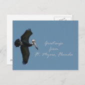 Pelican Grüße von Ft. Myers Postkarte (Vorne/Hinten)