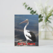 Pelican 'Hello There' Postcard Postkarte (Stehend Vorderseite)