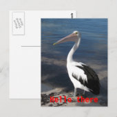 Pelican 'Hello There' Postcard Postkarte (Vorne/Hinten)