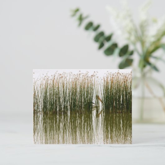 Pelican Hideout Postkarte (Stehend Vorderseite)