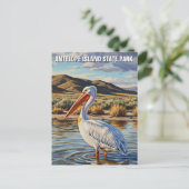 Pelican in Antelope Island Staat Park Utah Postkarte (Stehend Vorderseite)