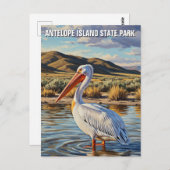 Pelican in Antelope Island Staat Park Utah Postkarte (Vorne/Hinten)