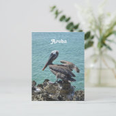 Pelican in Aruba Postkarte (Stehend Vorderseite)
