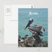 Pelican in Aruba Postkarte (Vorne/Hinten)