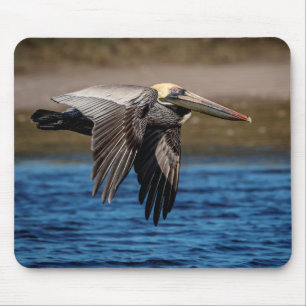 Pelican in flight mousepad