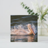 Pelican in Motion (Stehend Vorderseite)